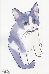Buy OSWOA Kitten Cute Original Watercolour Painting Animals Art Postcard Cat  • 7£