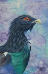 Buy Original Capercaillie Scottish Bird Realist Semi-abstract Pastel Painting15x23cm • 19.99£