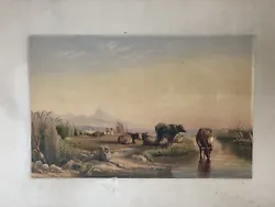 Buy Antique 19th Century Cattle Grazing By River Watercolour Painting Ex Con • 120£