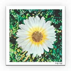 Buy Andy Warhol - Daisy Waterfall - Flower - Limited Lithograph Art Painting Print • 100£