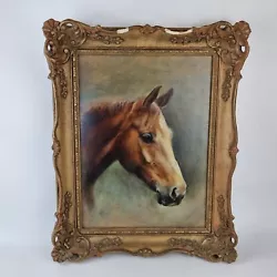 Buy Shirley Ann Carew Smith Oil On Panel Study Horses Head Inscribed To Reverse • 195£