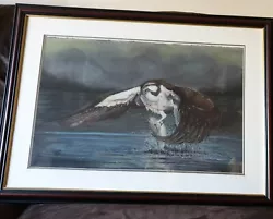 Buy Original, F.Rigby, Pastel Depicting An Osprey Catching A Fish, Signed,Dated • 75£