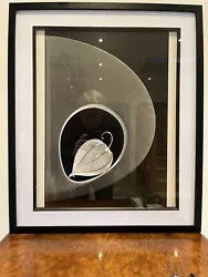 Buy Original Modern Photo Picture Back White Framed John Cope ARPS • 39£