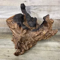 Buy Driftwood Art Natural Abstract Sculpture Torched Charcoal Peaks • 17.34£