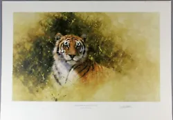 Buy David SHEPHERD Original Limited Edition Print 'Sketch For Painting Of A TIGER' • 275£