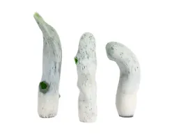Buy Katherine Garrity Signed  Fulgarite Artist  Biomorphic Art Glass Sculptures • 943.10£