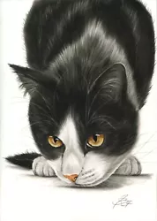 Buy Gato Tuxedo Cat Charcoal Coal Painting Drawing Drawing Painting Art #87 • 64.24£