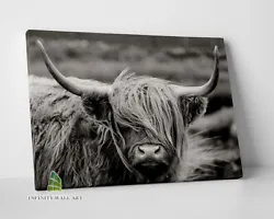 Buy HIGHLAND COW Black Canvas Art Print Wall Art Animal Decor Photo Picture.--D125 • 63.16£