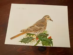 Buy Original Watercolour Painting By T Snelling 2000 Mistle Thrush 8.25  X 5.75  • 14.99£