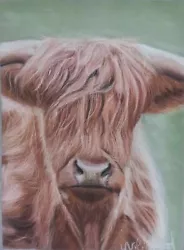 Buy Original Highland Cow Animal Pastel Painting Art, 18x24cm, Unframed • 100£
