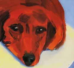 Buy Dachshund Head Dog Painting David Hockney Print In 11 X 14 Mount SUPERB (34) • 19.95£