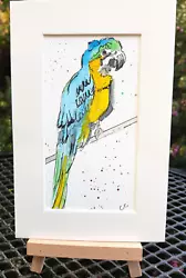 Buy Blue + Gold Macaw,Original Watercolour Painting, Chris Clarke 5 X7 Mounted • 3.99£