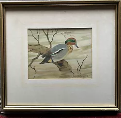 Buy Ralston Gudgeon, RSW Scottish 1910-1984, 'Teal Duck' - Watereolour • 185£