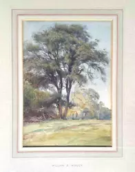 Buy William Wigley Original Watercolour Woodland Scene • 45.50£