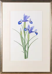 Buy Robert Howe - 2003 Watercolour, Blooming Irises • 111£