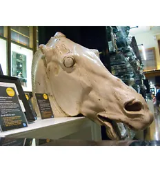 Buy  Horse Head Sculpture Of Athens Acropolis Parthenon Selene Replica Reproduction • 2,367.13£