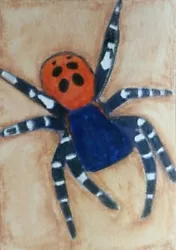 Buy Aceo Art Card 2.5 X 3.5 Inch Spider Nature Watercolour Pencil Painting.Wildlife. • 3.50£
