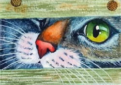 Buy ACEO Cat Drawing Watercolor Pencil By The Author Original Not Print 3,5х2,5  • 18.92£