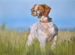 Buy Breton Spaniel, Chien De Chasse, Hunting Dog, Painting, Drawing, Art Painting • 214.12£