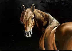 Buy COA Original Oil Painting Art Canvas Horse Portrait Equestrian 28 X20  Vintage • 196.87£