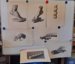 Buy 7 Original Anatomical Studies Hand Drawings Of The 19th Jh. Feet Hands Approx. 47x30 • 12.91£