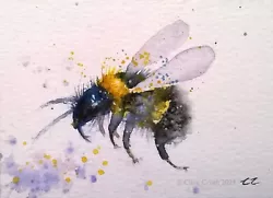 Buy ORIGINAL Signed ACEO Watercolour Painting BEE Wildlife Insect Art Clare Crush • 15.99£
