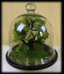 Buy Handmade Diorama Idyllic In Glass Dome • 175£