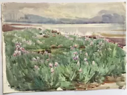 Buy VINTAGE 1920’s Watercolour Flowers Near A Coastal Area • 14.99£
