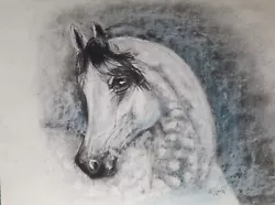 Buy Horse, Dapple Grey Arab Horse's Head, Original Charcoal Drawing  • 27£