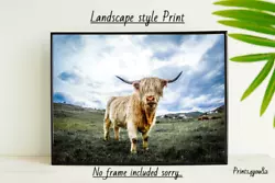 Buy Highland Cow A4 Print Picture Poster Wall Art Home Decor Unframed Gift New • 3.99£