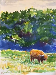 Buy Original Watercolour Painting Of A Highland Cow • 35£