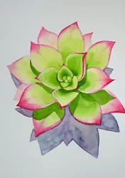 Buy Original Watercolour Painting Flowers. Succulent III. Malgorzata Lis. COA • 9.99£