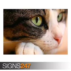 Buy CAT EYES (3775) Animal Poster - Photo Picture Poster Print Art A0 A1 A2 A3 A4 • 1.10£