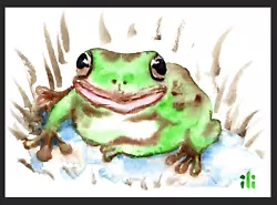 Buy ACEO Watercolor Print Green Frog Fine Art Painting By Ili • 3.50£