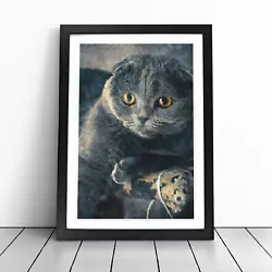 Buy Scottish Fold Cat Wall Art Print Framed Canvas Picture Poster Decor Living Room • 24.95£