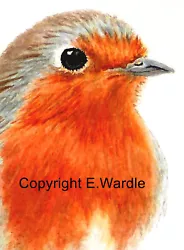 Buy 2.5  X 3.5  ACEO 'ROBIN REDBREAST' Bird CANVAS PRINT Of Watercolour By E.Wardle • 2.99£