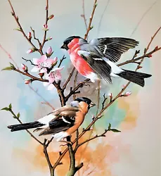 Buy BULLFINCHES IN BLOSSOM TREE. VINTAGE 1960s PRINT OF A PAINTING BY BASIL EDE • 2.99£