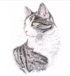 Buy Grey Tabby Cat.  Original Artwork (not A Print) A4 Size. GreyPepperArt • 25£