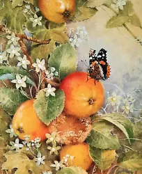 Buy ^.RED ADMIRAL BUTTERFLY ON APPLE. 1980s PRINT OF A PAINTING BY BENINGFIELD • 2.99£