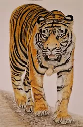 Buy Orginal Mixed Media Art  Drawing TIGER Portrait  • 129£