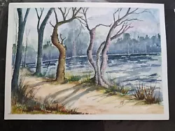Buy Water Colour Painting Of Delamere Forest H28L38cm • 10£
