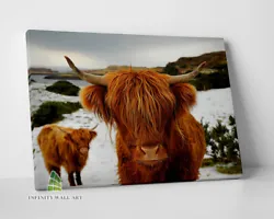 Buy HIGHLAND COW Brown Canvas Art Print Wall Art Animal Decor Photo Picture -D124 • 9.41£