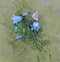 Buy Chalkhill Blue On Harebell  Print Of A  Painting  By G. Beningfield • 1.99£