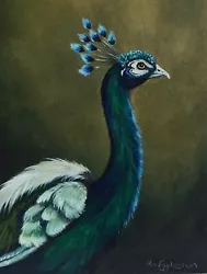Buy Original Painting.  Peacock Bird Wildlife. Fine Art.Signed K Eggleston • 19.99£