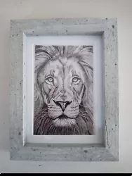 Buy LION Big Cat 6x4  Unframed Matt Photo Print Picture Gift Animal Drawing • 1.20£