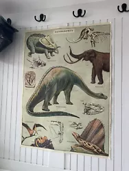 Buy Large Vintage Style Dinosaur And Octopus Poster Dinosaurus Octopods Set Of Two • 26.52£