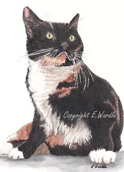 Buy ACEO 2.5  X 3.5  'CALICO CAT' CANVAS PRINT From Original Watercolour By E.Wardle • 2.99£