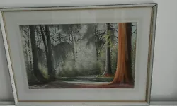 Buy 20th Century Australian Pastel A View Of New Forest Glade By Robert Campbell  • 15,000£