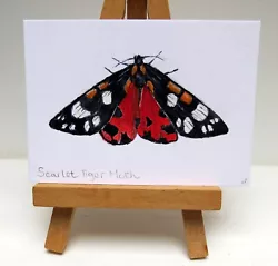 Buy ACEO Scarlet Tiger Moth Original Miniature Watercolour Painting • 4.99£