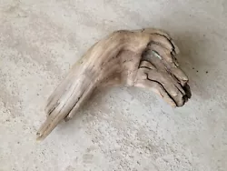 Buy Hand Shaped Piece Of Driftwood From Lake Como Italy Unusual Sculpture Decoration • 20£